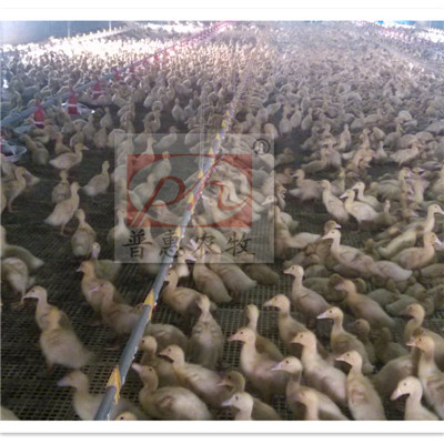 �B���O��-ˮ��(xi��n)