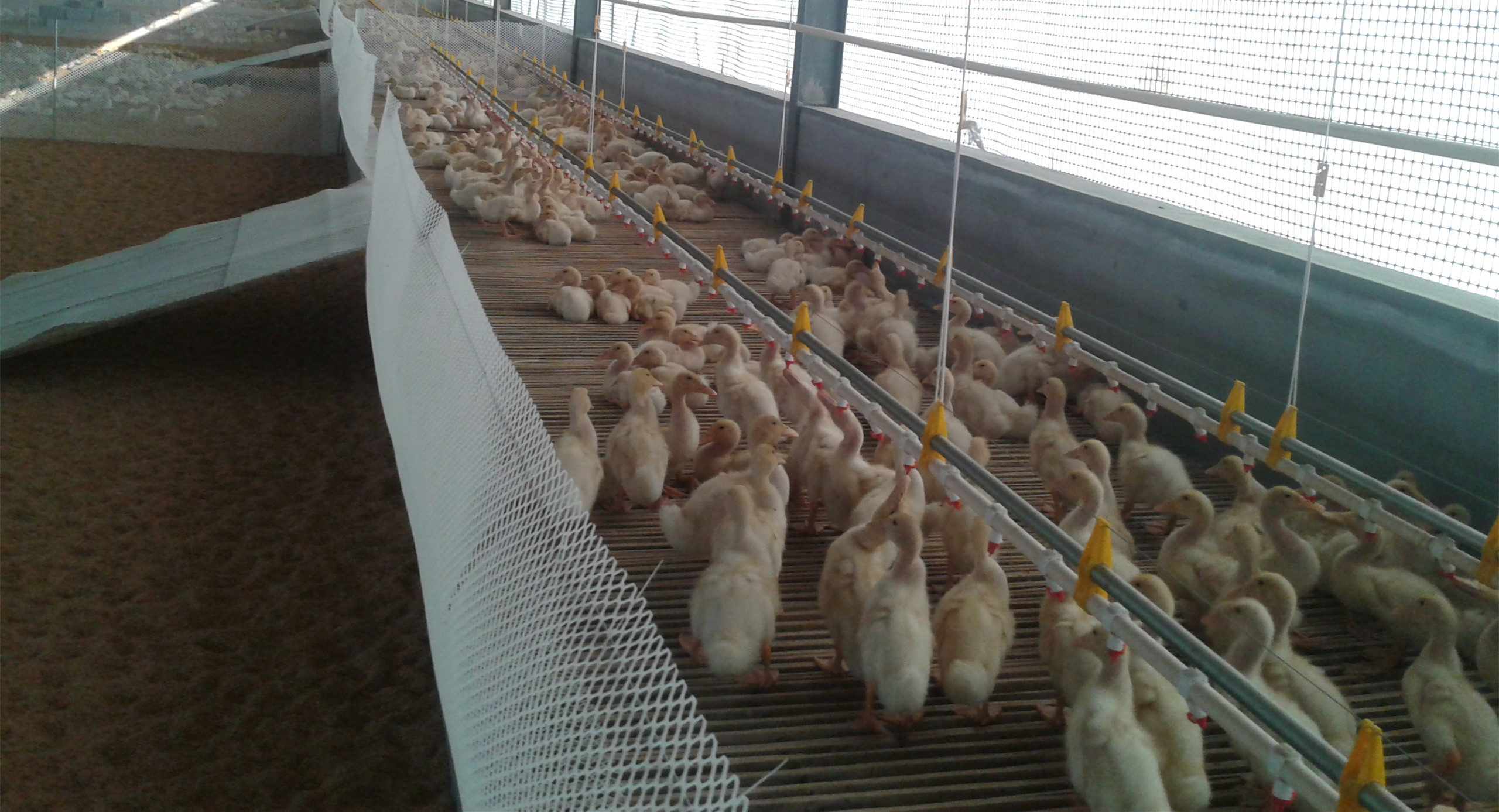 �B���O��-�� ˮ��(xi��n)