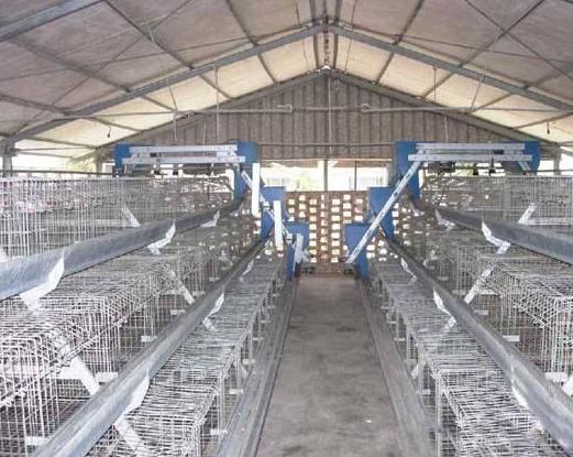 �S���ǂ�(g��)����ǧ�f(w��n)�����S�����M��