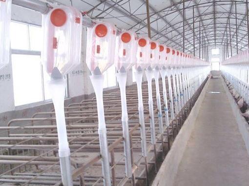 ���C�i�O��ĭh(hu��n)�������Ƿǳ���Ҫ��